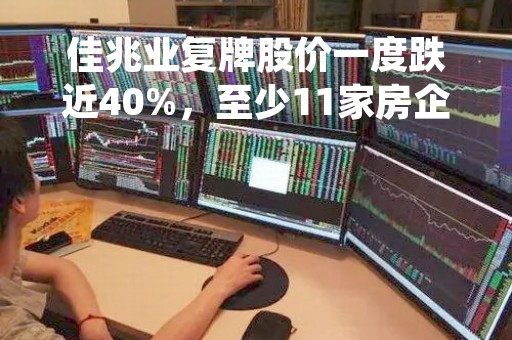 佳兆业复牌股价一度跌近40%，至少11家房企仍在停牌