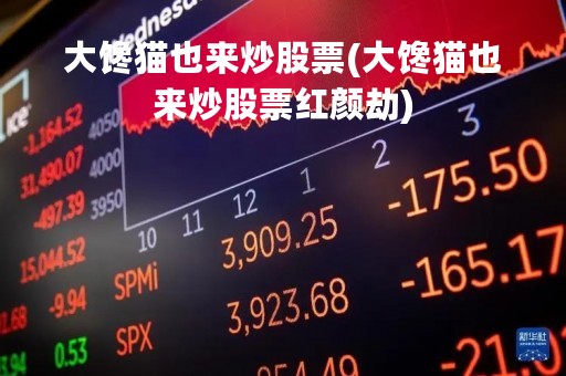 大馋猫也来炒股票(大馋猫也来炒股票红颜劫)