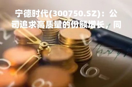 宁德时代(300750.SZ)：公司追求高质量的份额增长，同时保持合理的盈利水平