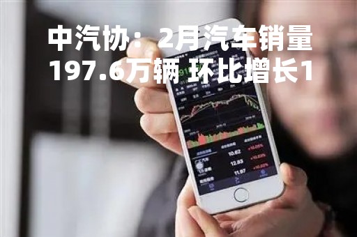 中汽协：2月汽车销量197.6万辆 环比增长19.8%