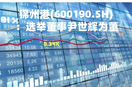 锦州港(600190.SH)：选举董事尹世辉为董事长