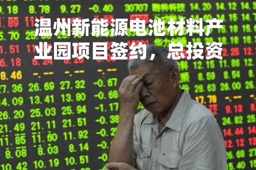 温州新能源电池材料产业园项目签约，总投资约80亿元