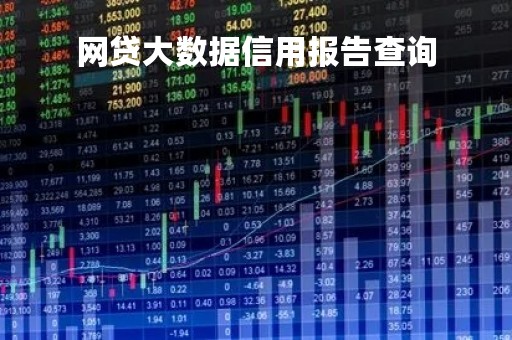 网贷大数据信用报告查询