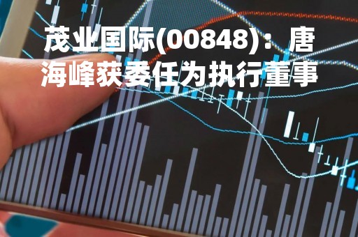 茂业国际(00848)：唐海峰获委任为执行董事