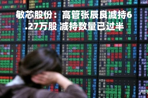 敏芯股份：高管张辰良减持6.27万股 减持数量已过半