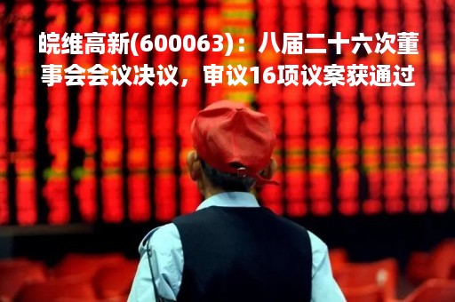皖维高新(600063)：八届二十六次董事会会议决议，审议16项议案获通过
