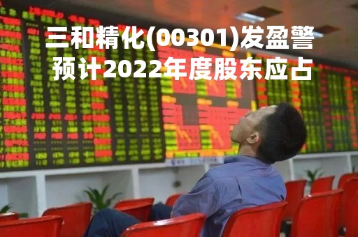 三和精化(00301)发盈警 预计2022年度股东应占溢利约450万元
