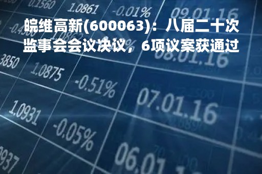 皖维高新(600063)：八届二十次监事会会议决议，6项议案获通过