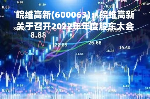 皖维高新(600063)：皖维高新关于召开2022年年度股东大会，审议8项议案