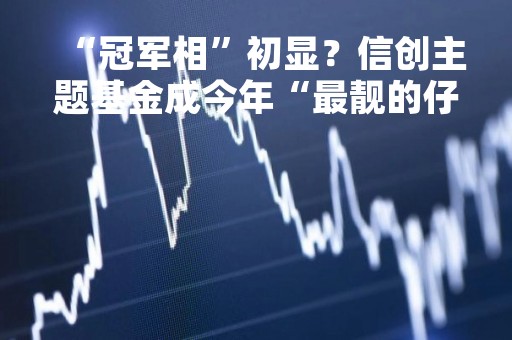 “冠军相”初显？信创主题基金成今年“最靓的仔”