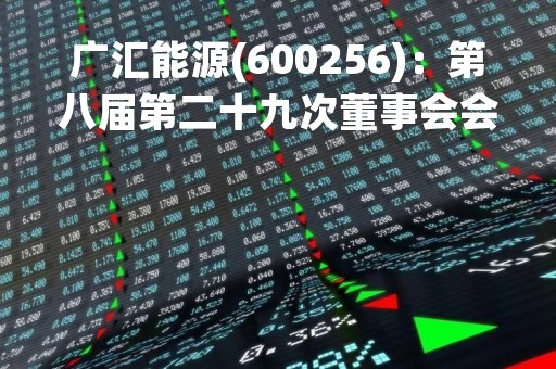 广汇能源(600256)：第八届第二十九次董事会会议决议，审议《广汇能源股份有限公司关于聘任董事会秘书的议案》