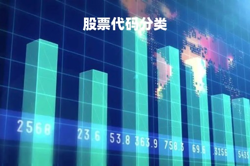 股票代码分类