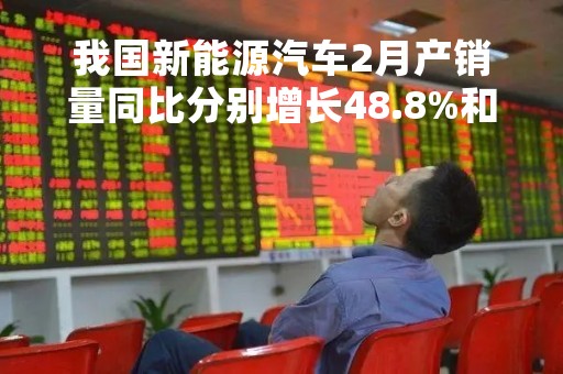 我国新能源汽车2月产销量同比分别增长48.8%和55.9%