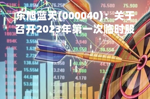 东旭蓝天(000040)：关于召开2023年第一次临时股东大会，审议关于为全资子公司东旭新能源投资及西藏东旭电力融资1.325亿元提供担保的议案