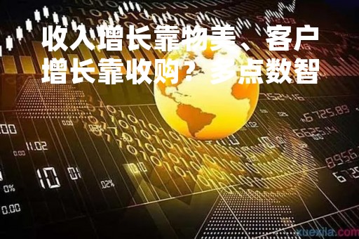 收入增长靠物美、客户增长靠收购？多点数智账上现金仅5亿元上市募资迫在眉睫