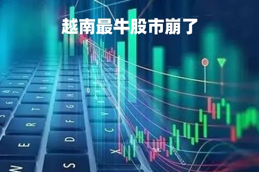越南最牛股市崩了