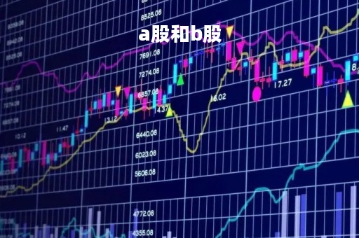 a股和b股
