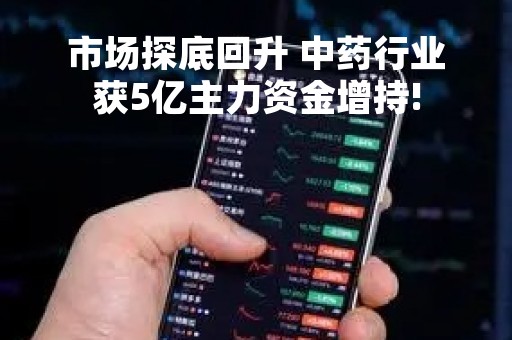 市场探底回升 中药行业获5亿主力资金增持!