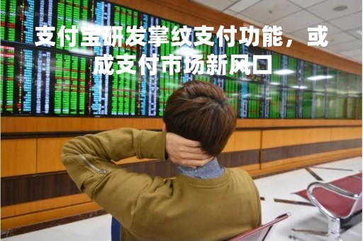 支付宝研发掌纹支付功能，或成支付市场新风口