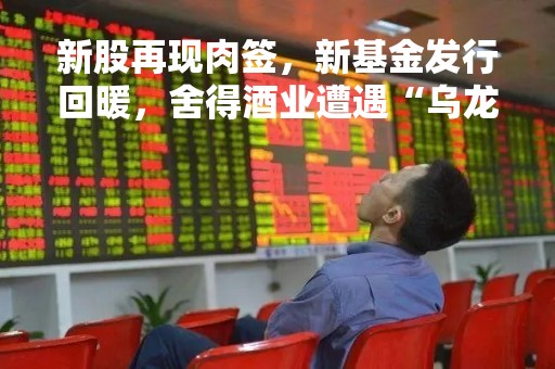 新股再现肉签，新基金发行回暖，舍得酒业遭遇“乌龙指”？闪崩跌停后快速回升！市场平稳但不缺亮点