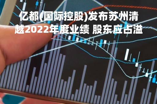 亿都(国际控股)发布苏州清越2022年度业绩 股东应占溢利约5650万元
