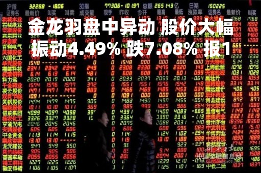 金龙羽盘中异动 股价大幅振动4.49% 跌7.08% 报16.53元