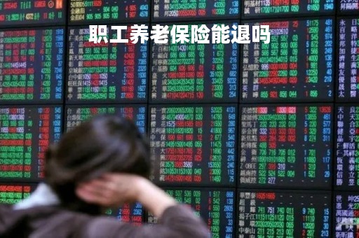 职工养老保险能退吗