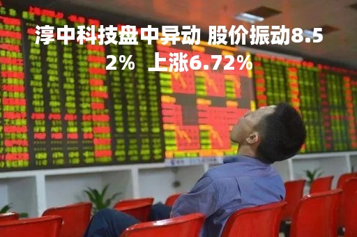 淳中科技盘中异动 股价振动8.52%  上涨6.72%