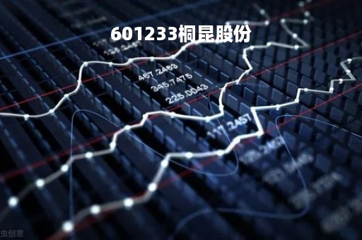 601233桐昆股份