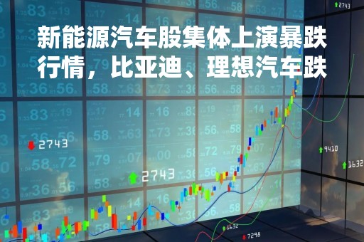 新能源汽车股集体上演暴跌行情，比亚迪、理想汽车跌近8%