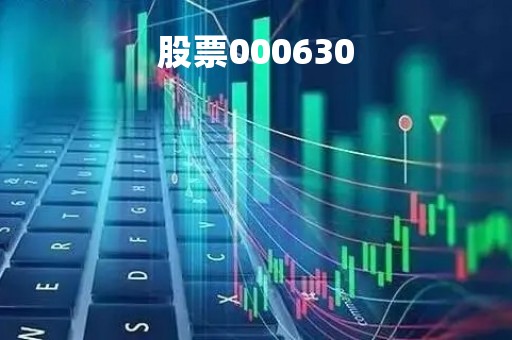 股票000630