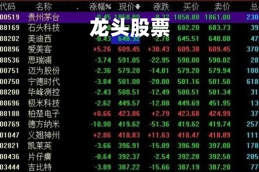 龙头股票