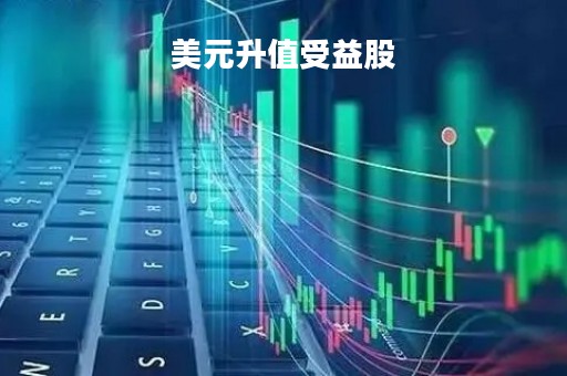 美元升值受益股