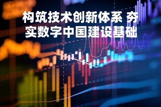 构筑技术创新体系 夯实数字中国建设基础