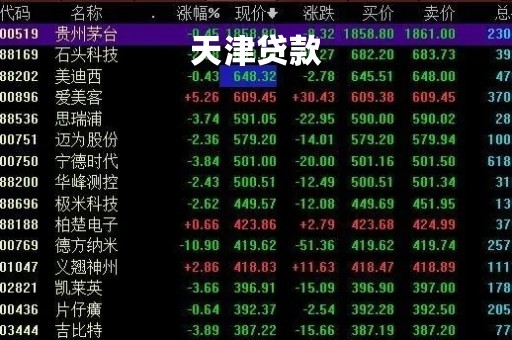 天津贷款