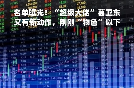 名单曝光！“超级大佬”葛卫东又有新动作，刚刚“物色”以下几只个股