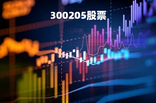 300205股票 300205股票