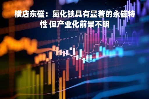 横店东磁：氮化铁具有显著的永磁特性 但产业化前景不明