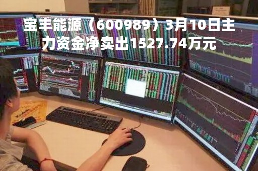 宝丰能源（600989）3月10日主力资金净卖出1527.74万元
