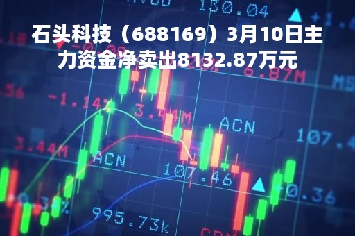 石头科技（688169）3月10日主力资金净卖出8132.87万元