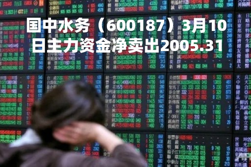 国中水务（600187）3月10日主力资金净卖出2005.31万元