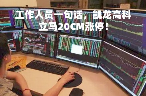 工作人员一句话，凯龙高科立马20CM涨停！