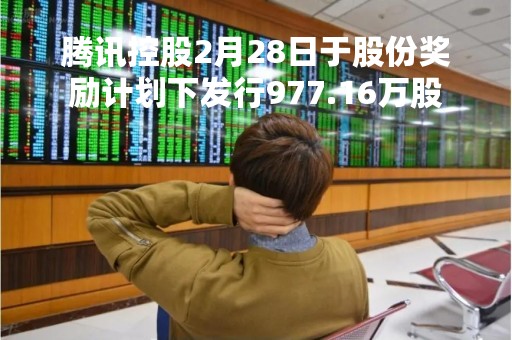 腾讯控股2月28日于股份奖励计划下发行977.16万股