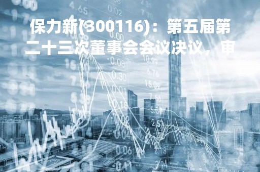 保力新(300116)：第五届第二十三次董事会会议决议，审议《关于使用部分闲置募集资金暂时补充流动资金的议案》
