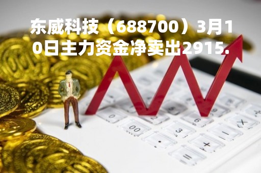 东威科技（688700）3月10日主力资金净卖出2915.16万元