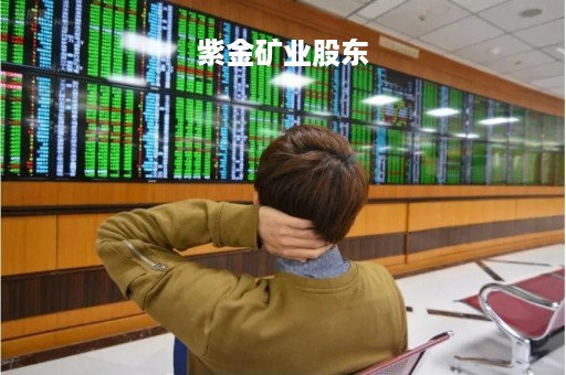 紫金矿业股东