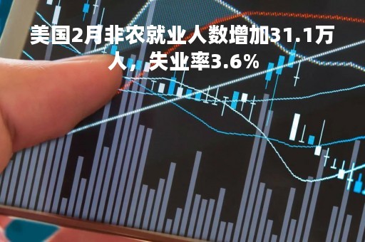 美国2月非农就业人数增加31.1万人，失业率3.6%