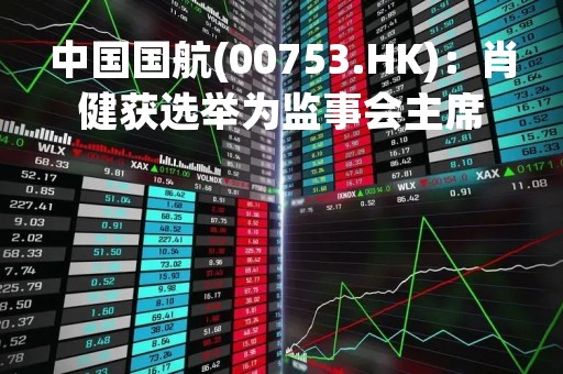 中国国航(00753.HK)：肖健获选举为监事会主席