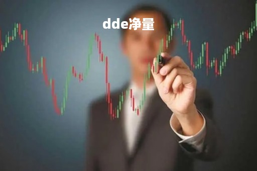 dde净量