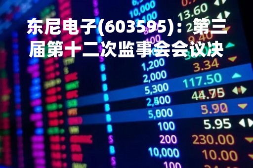 东尼电子(603595)：第三届第十二次监事会会议决议，13项议案获通过